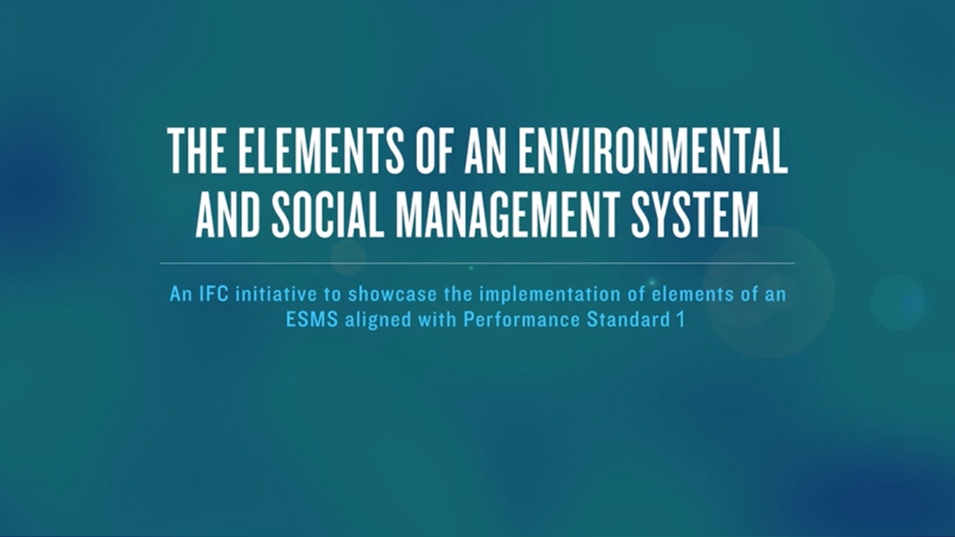 Elements of an Environmental & Social Management Systems (ESMS)