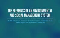 Elements of an Environmental & Social Management Systems (ESMS)