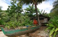 Corporate Finance: Forestry Products in Papua New Guinea