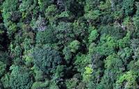 Know Your Client (KYC): an integrated and technological tool that financial instituti