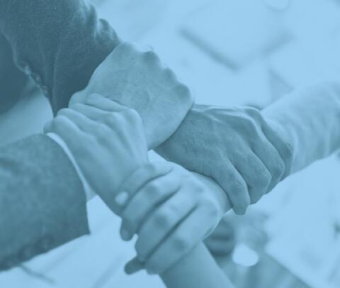 Principles and Initiatives