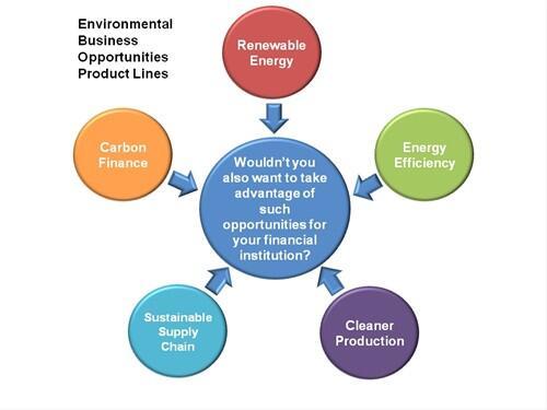 Sustainable Business Opportunities by Type