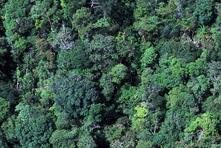 Know Your Client (KYC): an integrated and technological tool that financial instituti